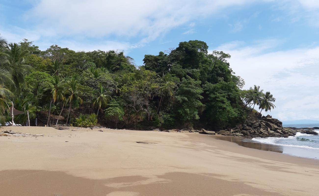 Quizales Beach'in fotoğrafı taşlı kum yüzey ile