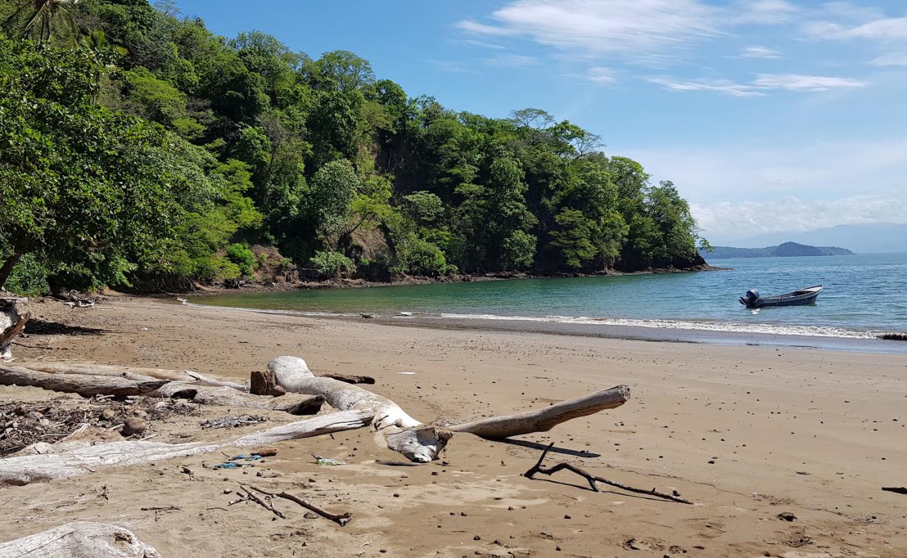 Playa Pajaros'in fotoğrafı parlak kum yüzey ile