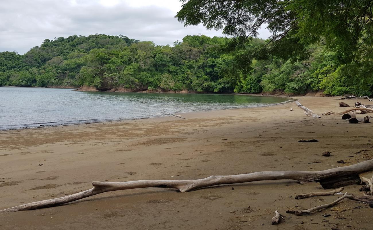 Playa Margarita'in fotoğrafı parlak kum yüzey ile