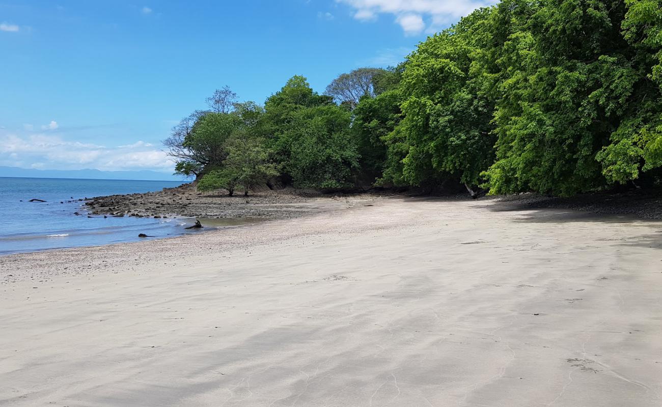 Playa Blanquita'in fotoğrafı parlak kum yüzey ile