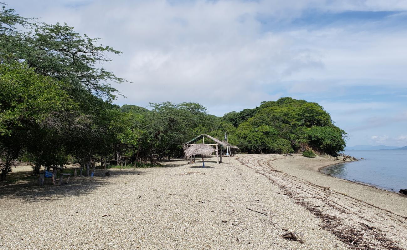Playa Albina'in fotoğrafı bej çakıl yüzey ile