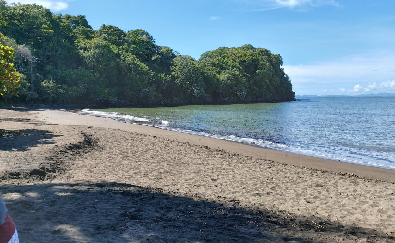 Playas De Dona Ana'in fotoğrafı kahverengi kum yüzey ile