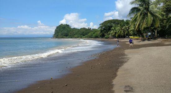 Playa Agujas