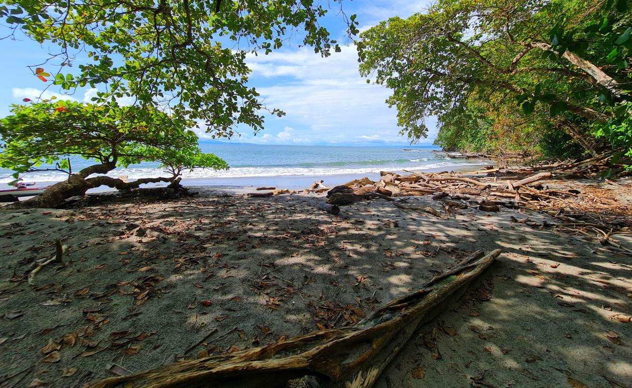 Playa Limoncito'in fotoğrafı parlak kum yüzey ile