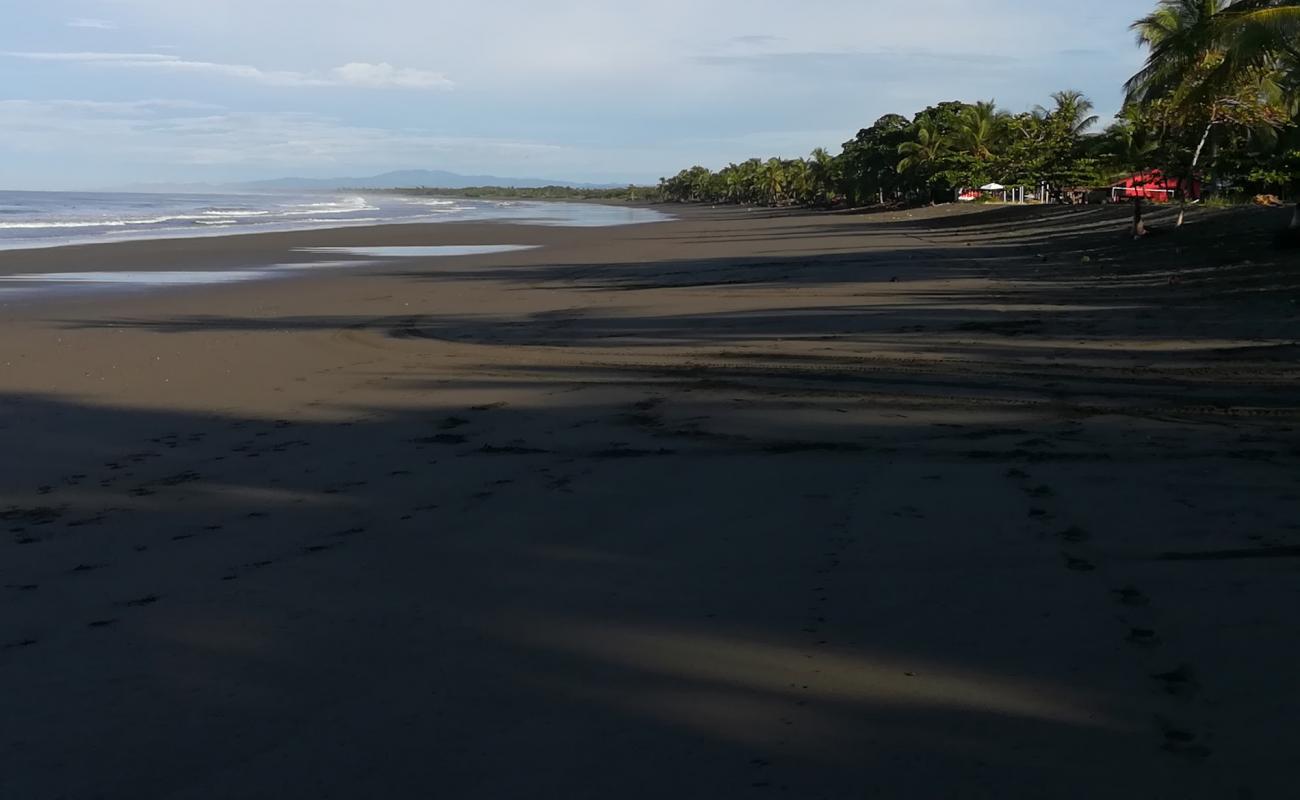 Playa Quepos'in fotoğrafı açık bej kum yüzey ile