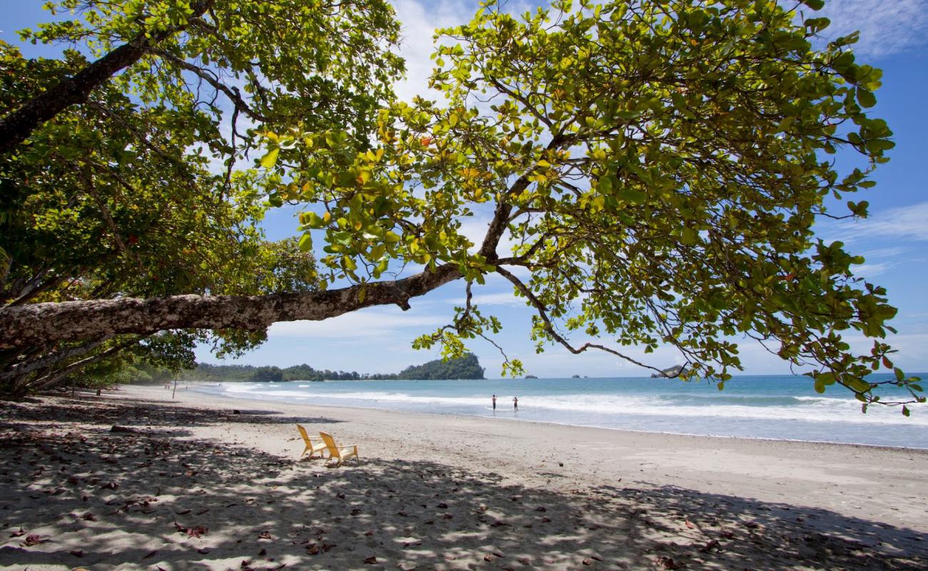 Playa Espadilla'in fotoğrafı gri kum yüzey ile