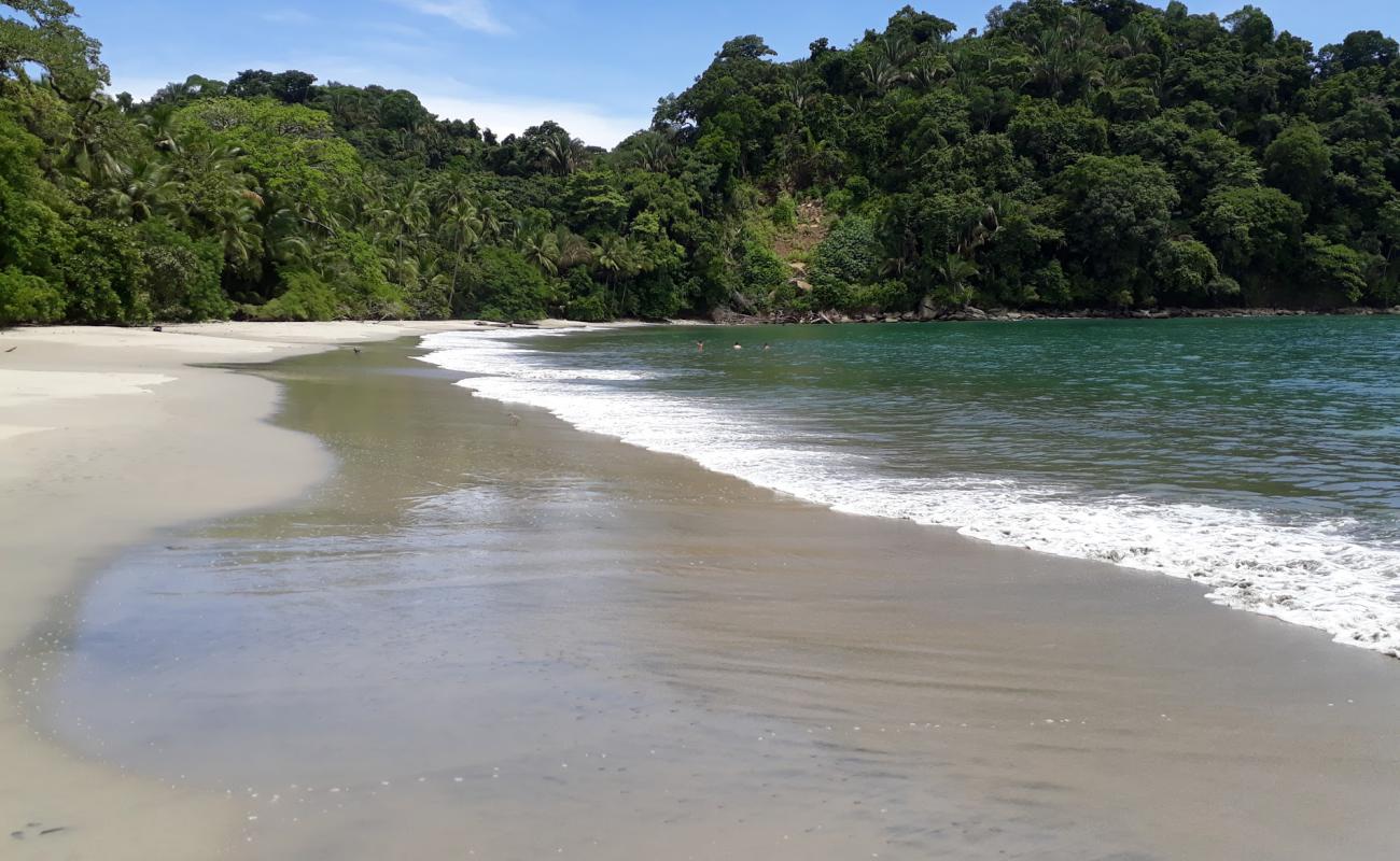 Playa Espadilla Sur'in fotoğrafı açık bej kum yüzey ile