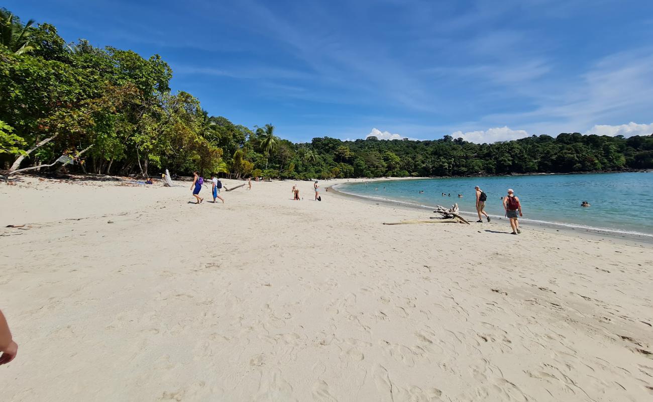 Playa Manuel Antonio'in fotoğrafı açık bej kum yüzey ile