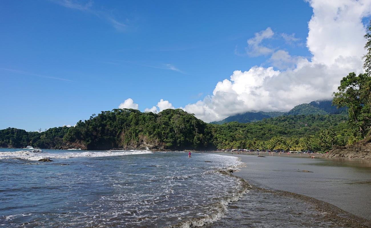 Dominicalito Beach'in fotoğrafı kahverengi kum yüzey ile