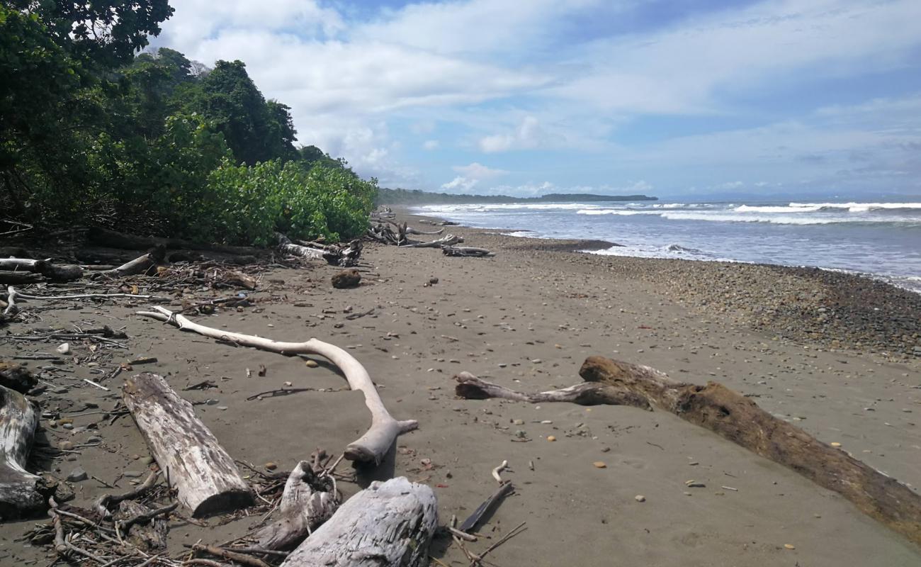 Playa puerto nuevo'in fotoğrafı parlak kum yüzey ile