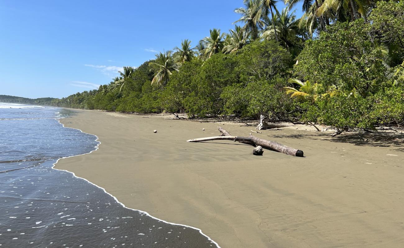 Playa Uvita'in fotoğrafı açık bej kum yüzey ile