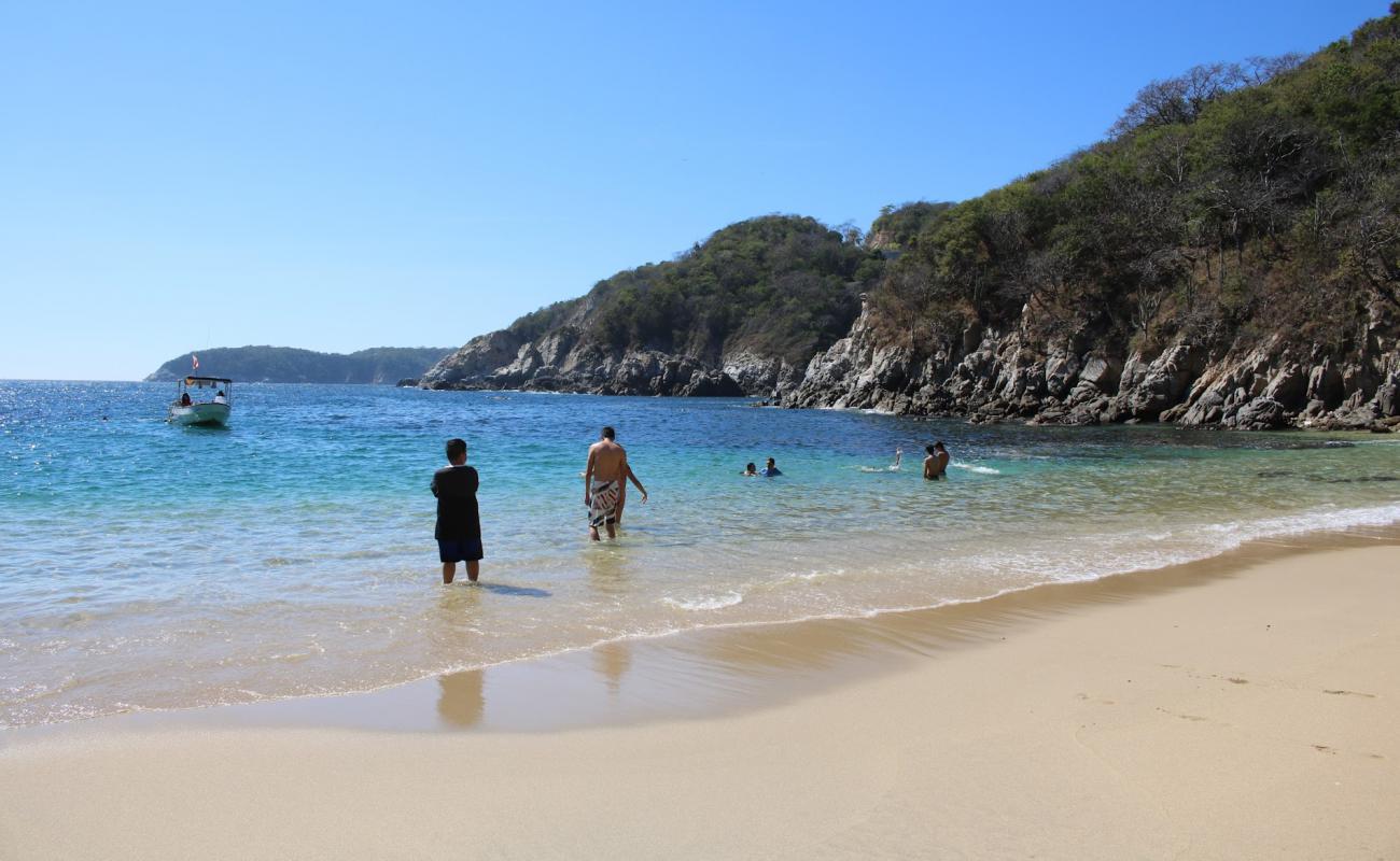 Playa Violin'in fotoğrafı açık bej kum yüzey ile