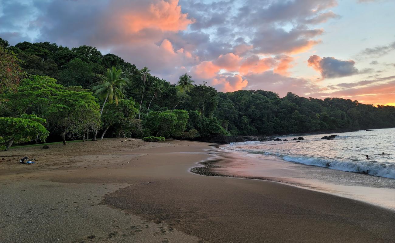 Cocalito Beach'in fotoğrafı kahverengi kum yüzey ile