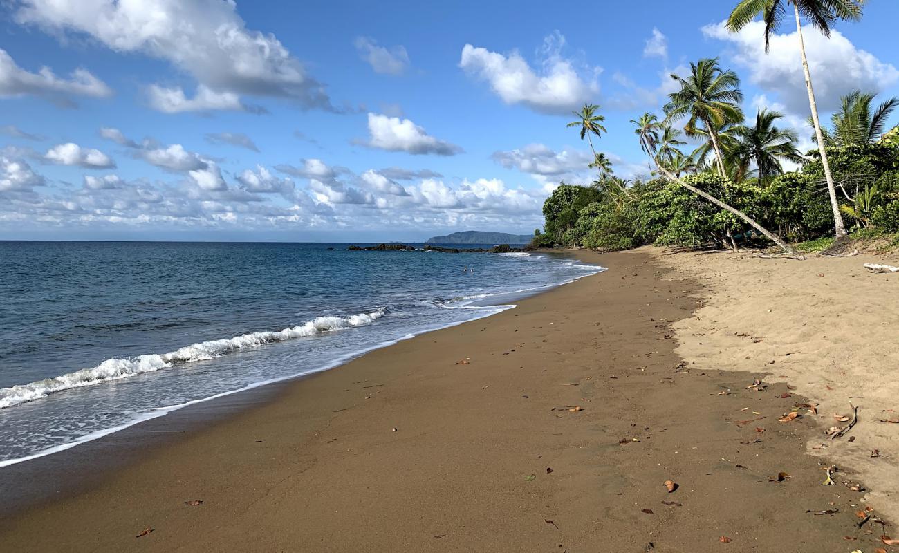 Playa Las Caletas'in fotoğrafı kahverengi kum yüzey ile