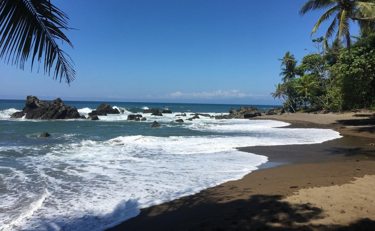 Punta Marenco Lodge'in fotoğrafı kahverengi kum yüzey ile