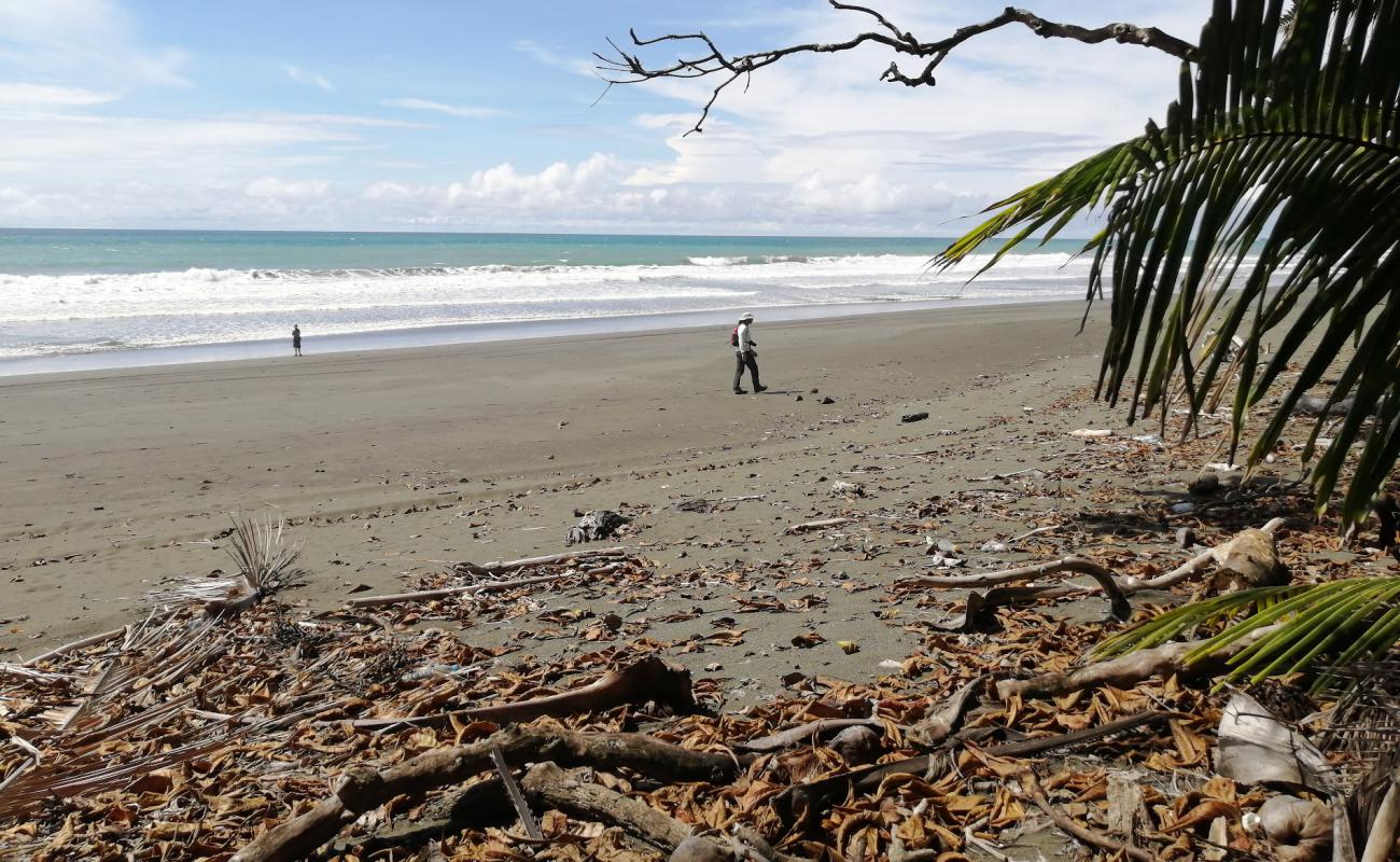 Playa Carate'in fotoğrafı kahverengi kum yüzey ile