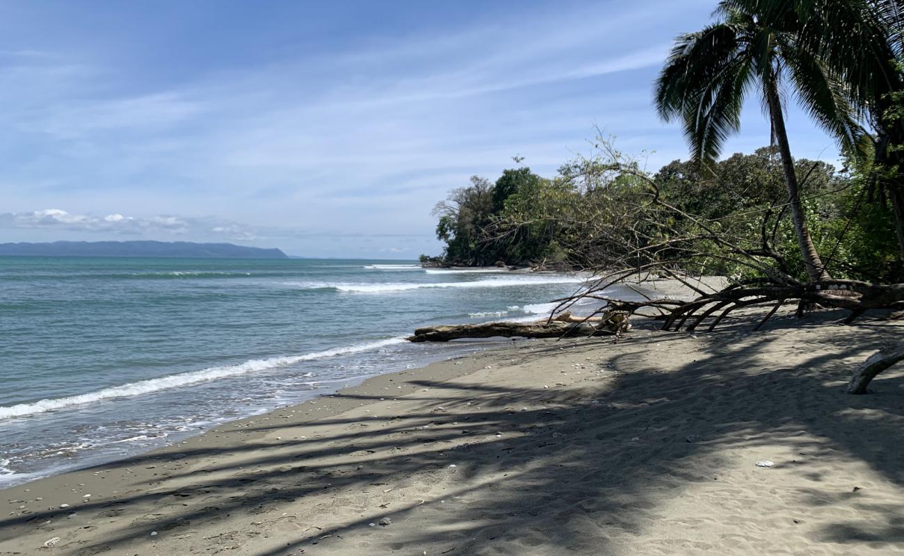 Playa Matapalo'in fotoğrafı kahverengi kum yüzey ile