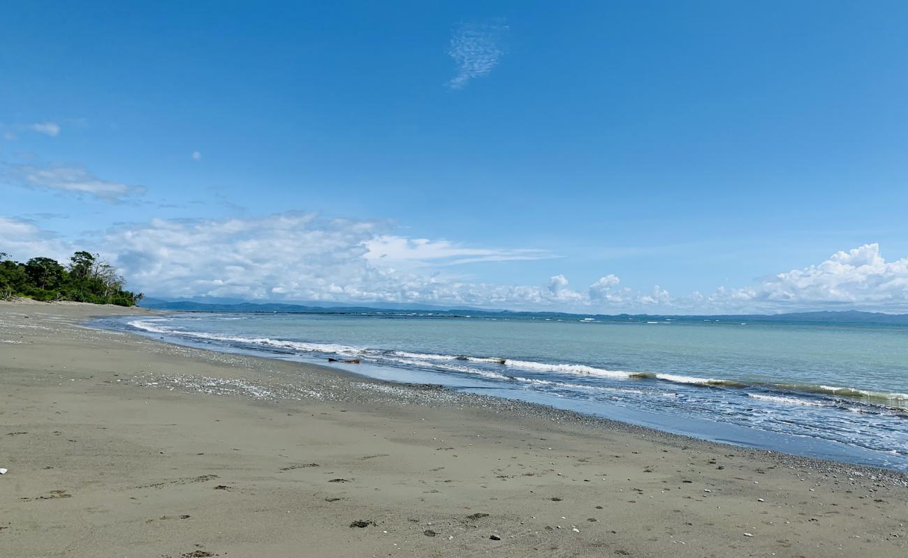 Playa Tamales'in fotoğrafı kahverengi kum yüzey ile