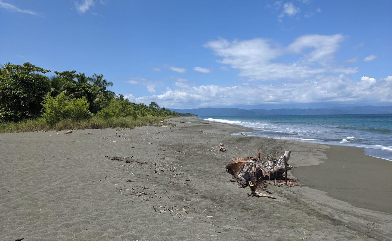 Playa Platanares'in fotoğrafı kahverengi kum yüzey ile
