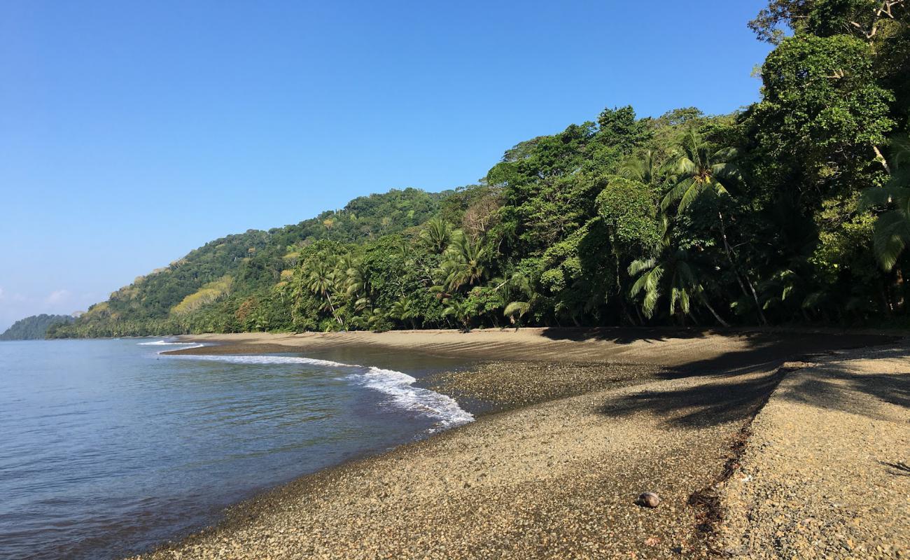 Playa San Josecito'in fotoğrafı gri çakıl taşı yüzey ile