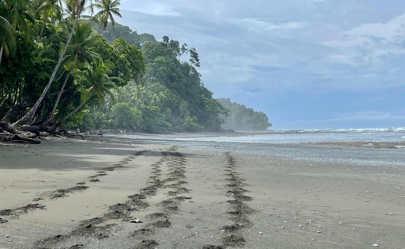 Playa Banco'in fotoğrafı siyah kum ve çakıl yüzey ile