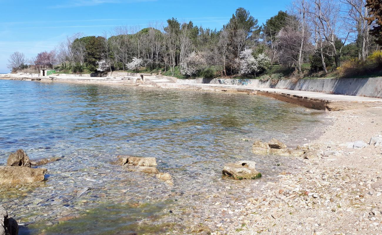 Savudrija beach'in fotoğrafı taşlar yüzey ile