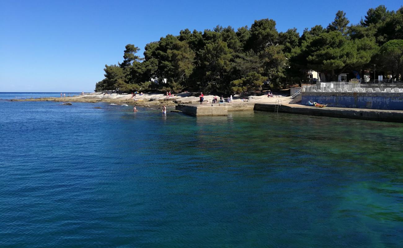 Pineta beach'in fotoğrafı kayalık arazi yüzey ile