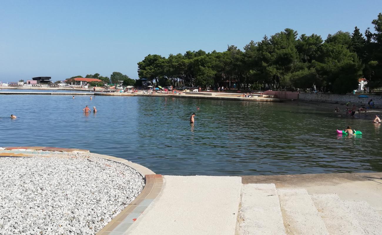 Vela Draga beach'in fotoğrafı beton kapak yüzey ile