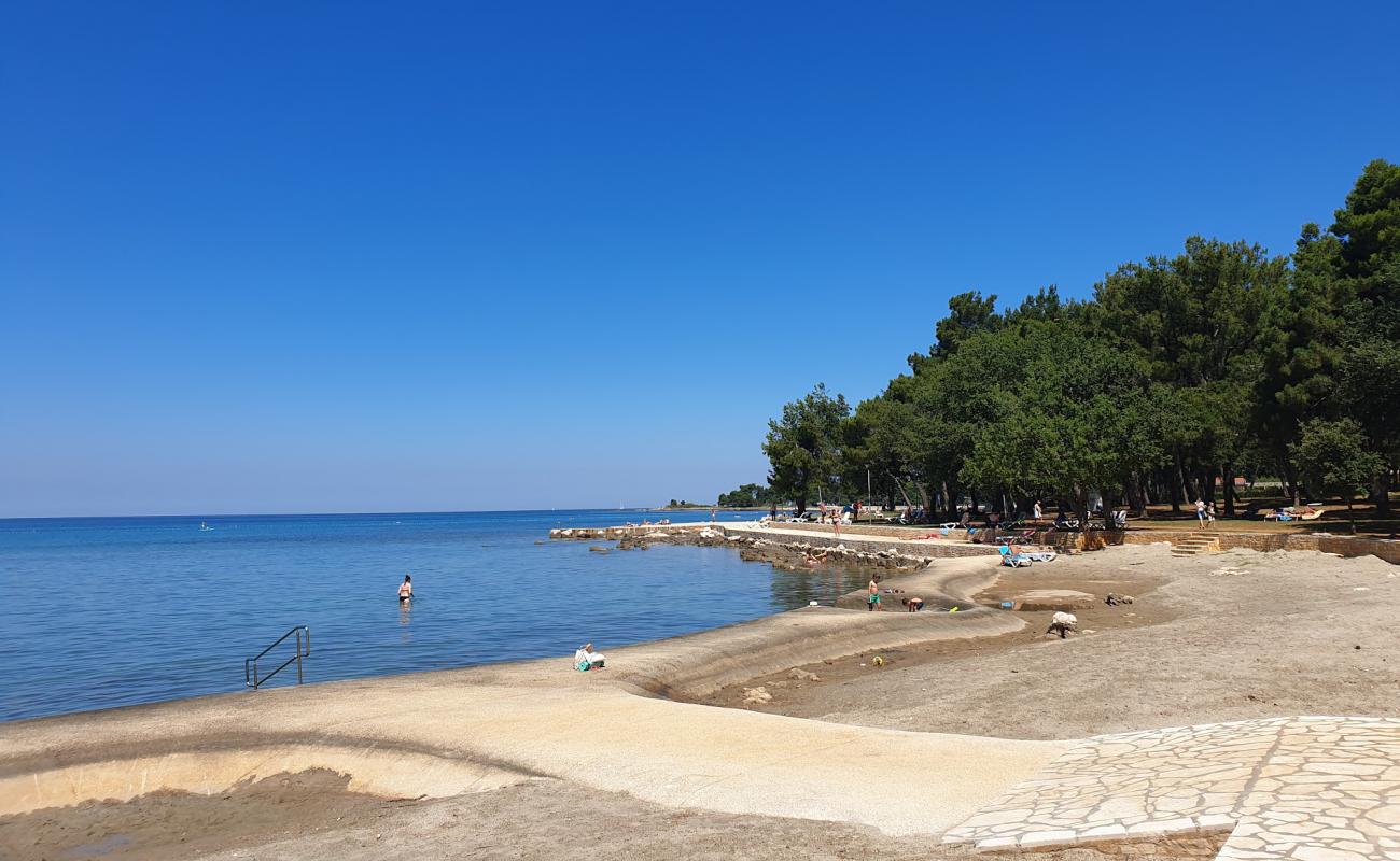 Plaza Pine'in fotoğrafı beton kapak yüzey ile