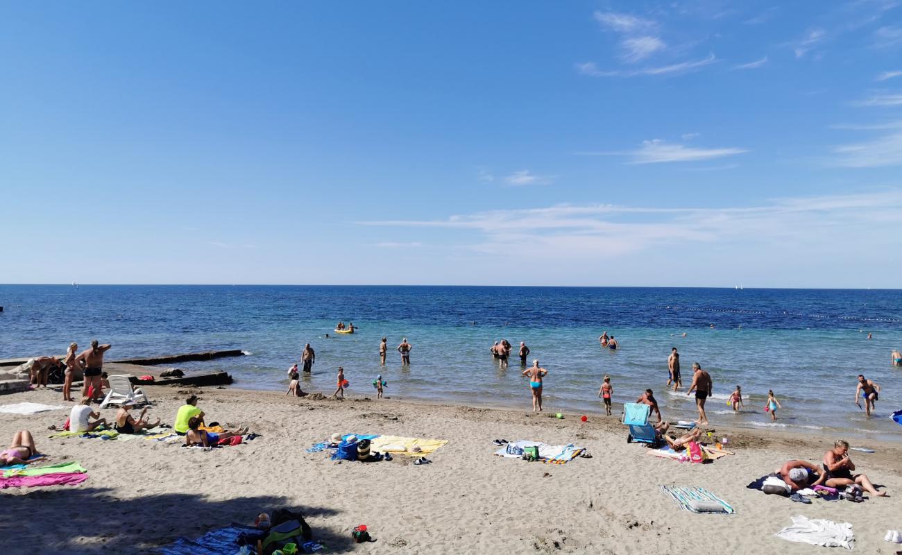 Umag Sandy beach'in fotoğrafı beton kapak yüzey ile