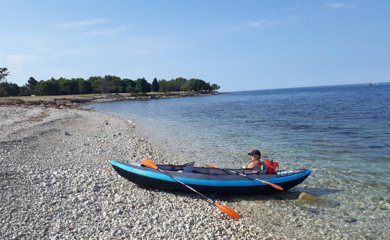 Umag wild beach'in fotoğrafı hafif çakıl yüzey ile