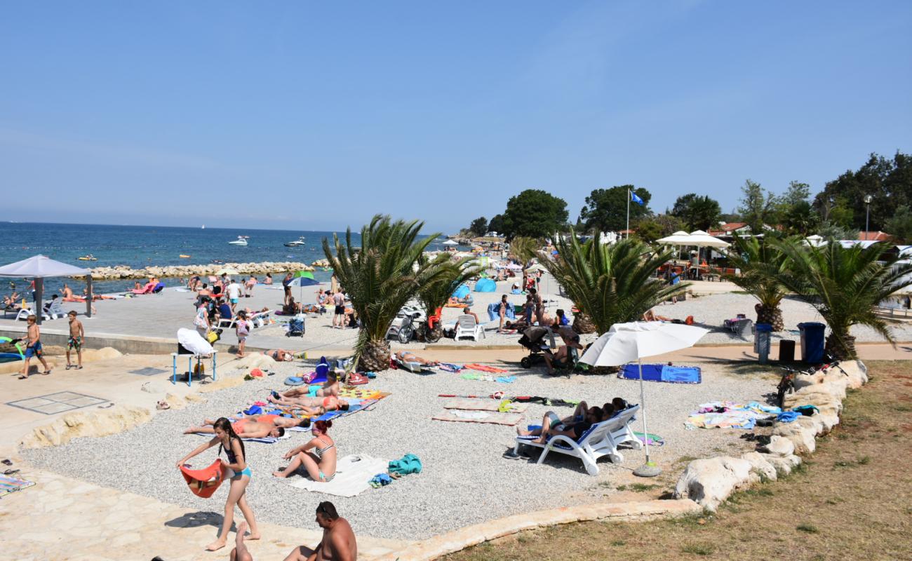 Lokvina beach'in fotoğrafı gri kum ve çakıllar yüzey ile