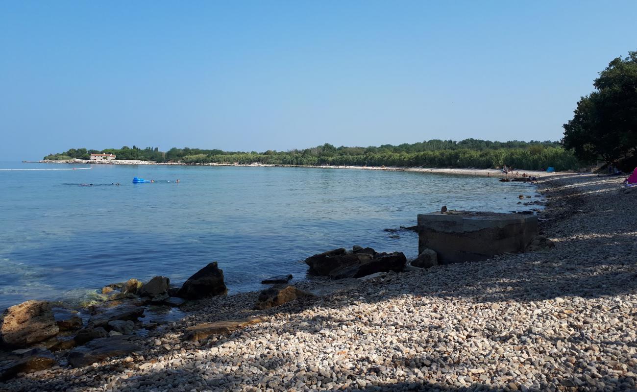 Dog Dreams beach'in fotoğrafı bej çakıl yüzey ile
