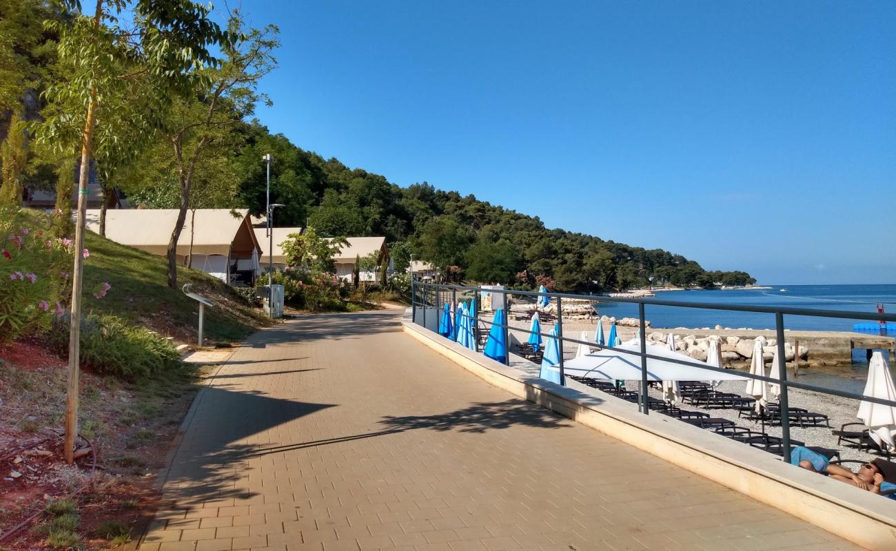 Tarska vala beach'in fotoğrafı bej kum ve çakıl yüzey ile