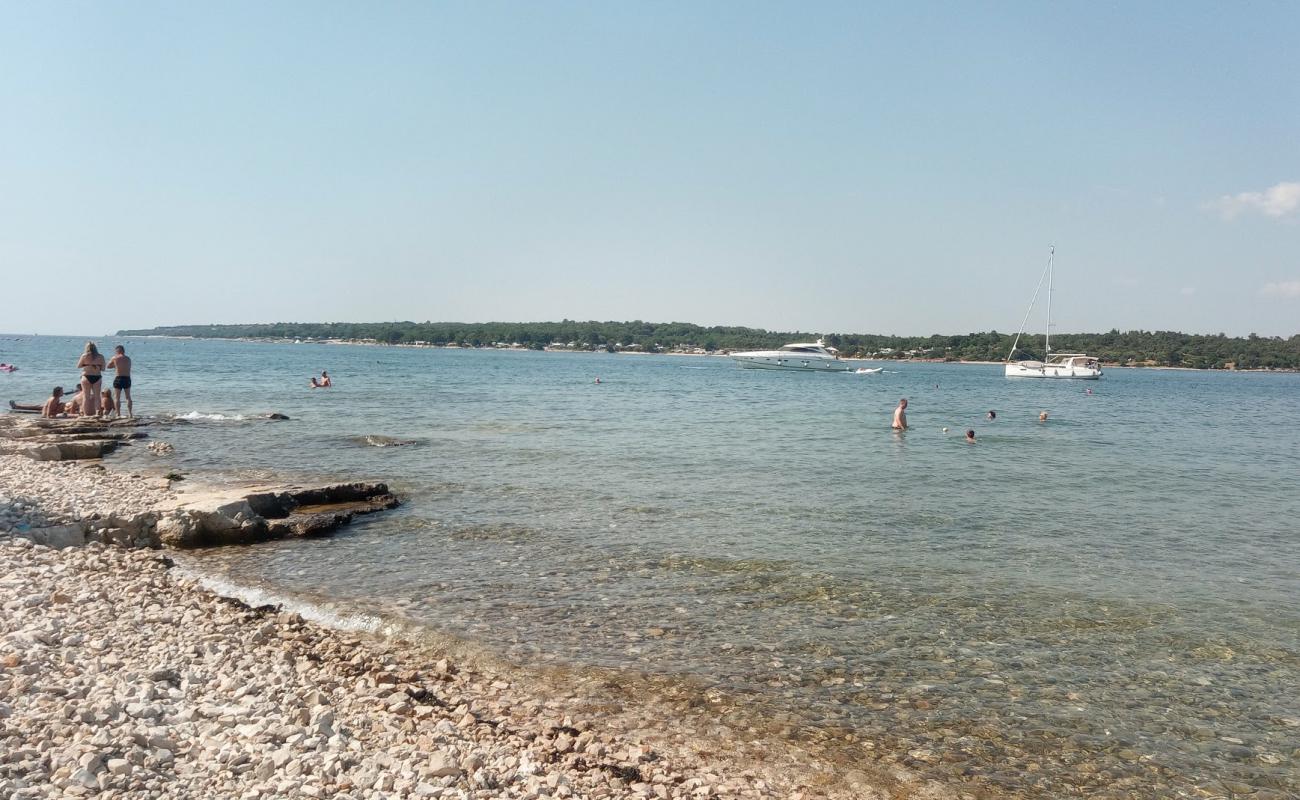 Porat beach'in fotoğrafı hafif çakıl yüzey ile