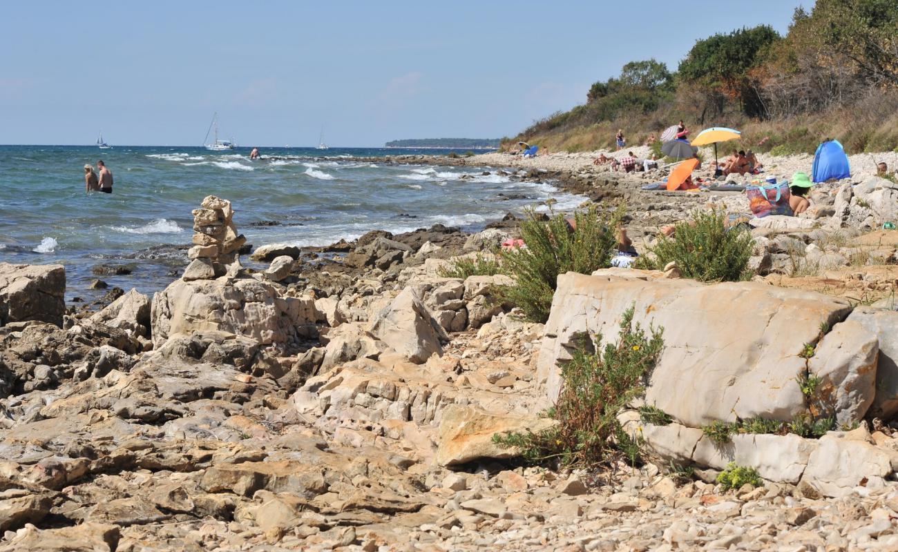 Hawaii beach'in fotoğrafı taşlar yüzey ile