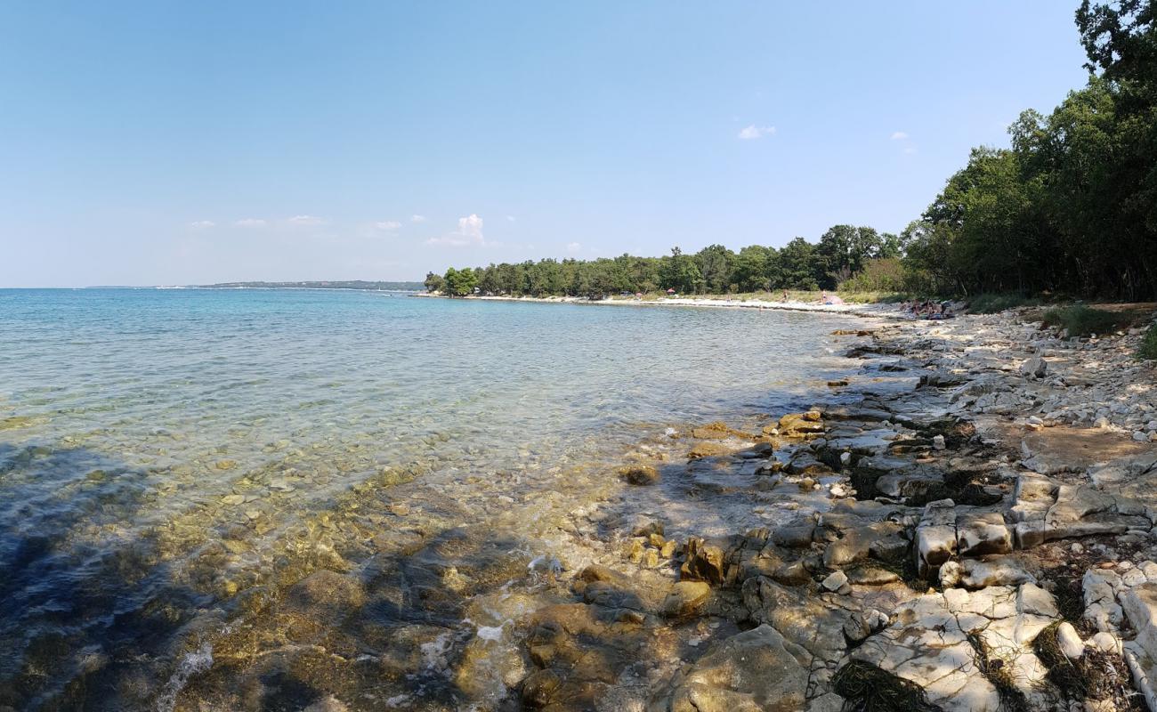 Plicina beach'in fotoğrafı taşlar yüzey ile