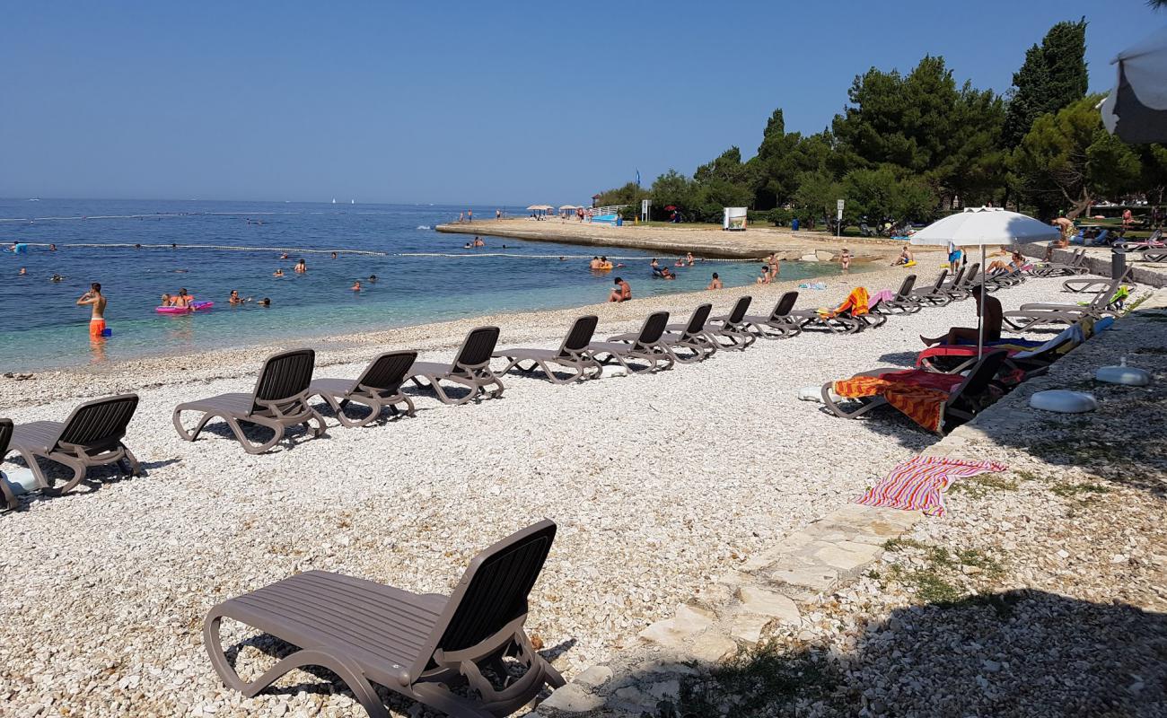 Materada beach'in fotoğrafı beton kapak yüzey ile