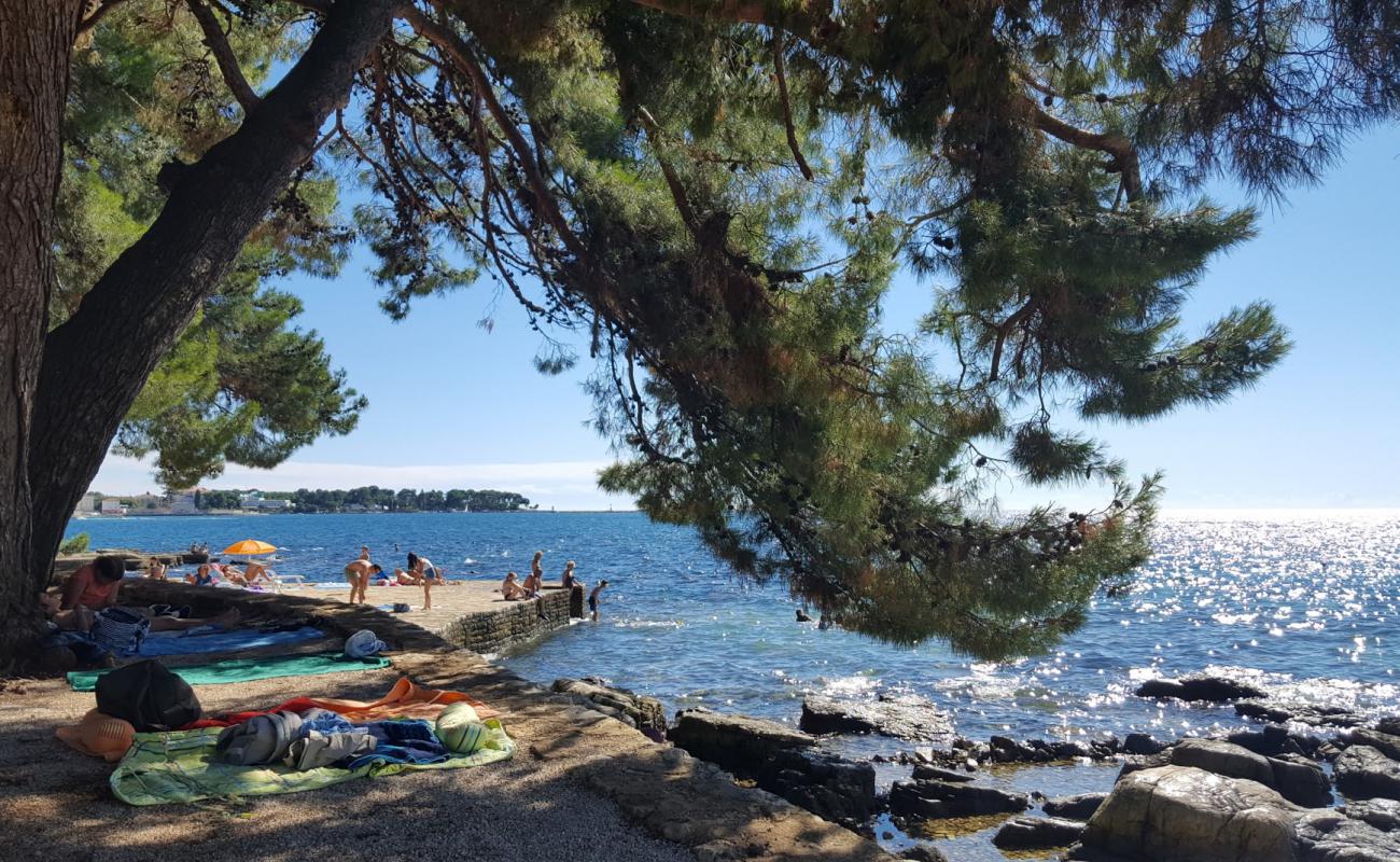 Porec hotel beach'in fotoğrafı beton kapak yüzey ile