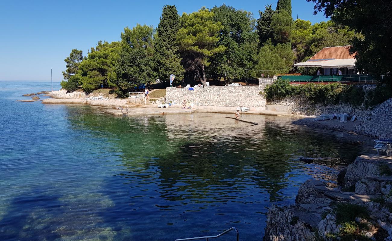 Plava Laguna beach'in fotoğrafı beton kaplı yüzey yüzey ile