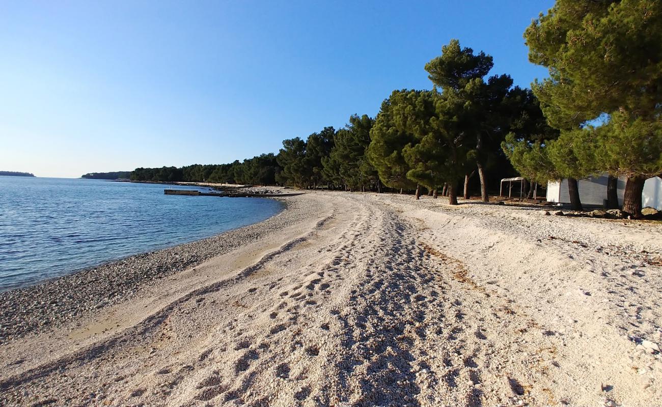 Cuvi beach II'in fotoğrafı hafif çakıl yüzey ile