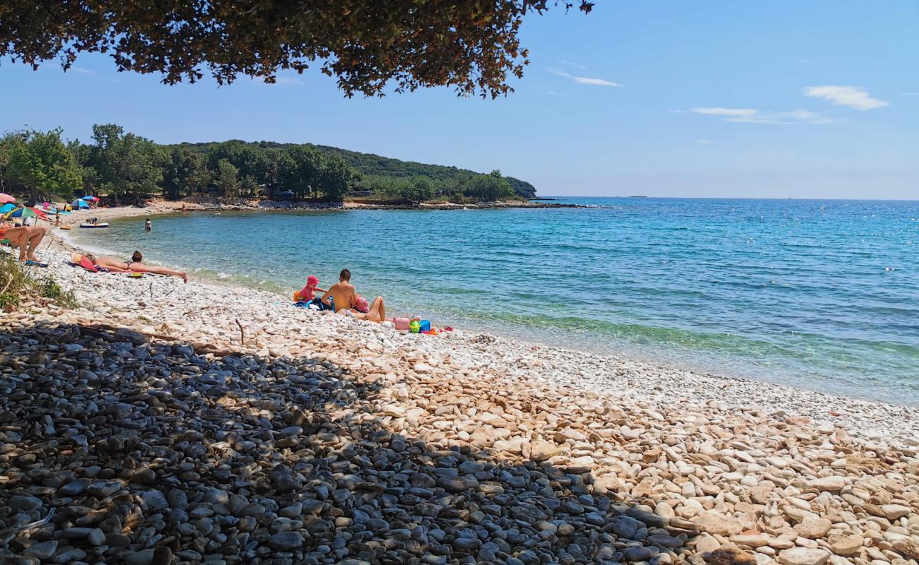 Cisterna plajı'in fotoğrafı beyaz çakıl taş yüzey ile