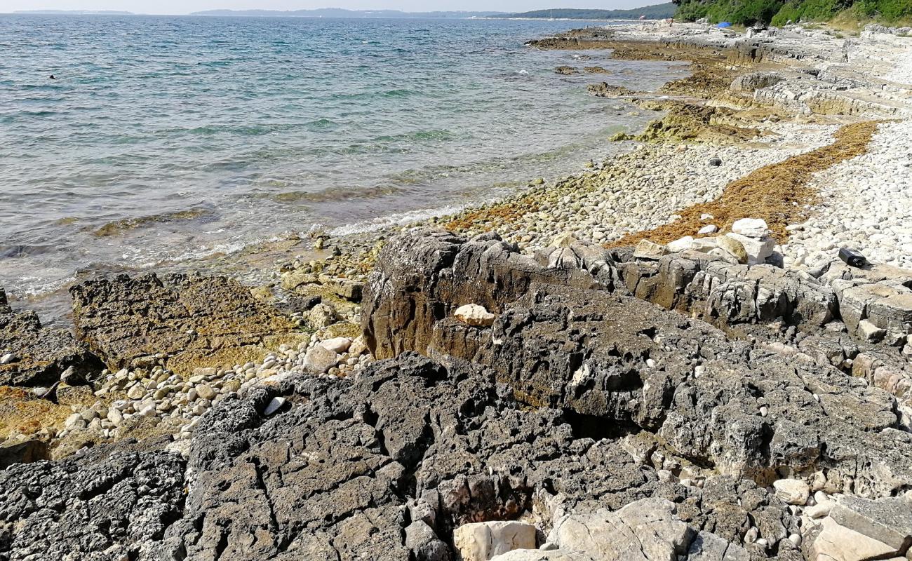 Coala beach'in fotoğrafı taşlar yüzey ile