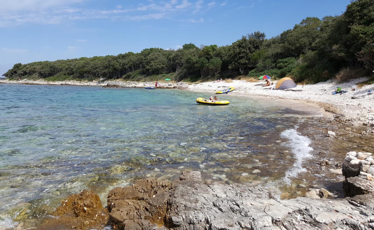 Plyazh Palud'in fotoğrafı taşlar yüzey ile