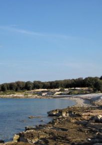 Batvaci