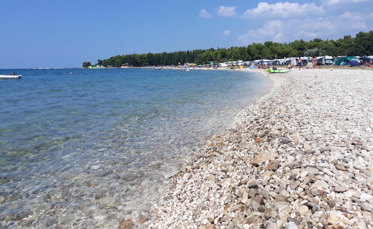 AC Pineta beach'in fotoğrafı bej çakıl yüzey ile