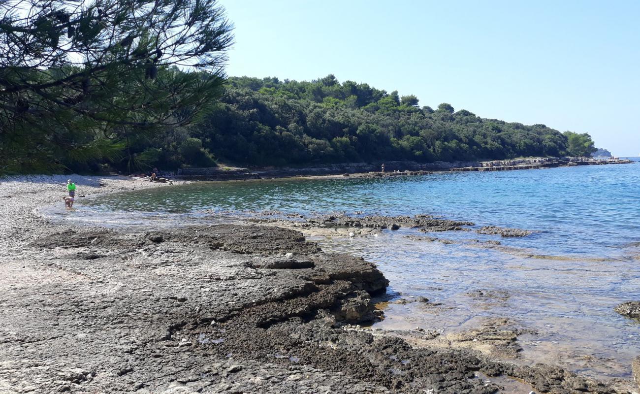 Lost beach'in fotoğrafı bej çakıl yüzey ile