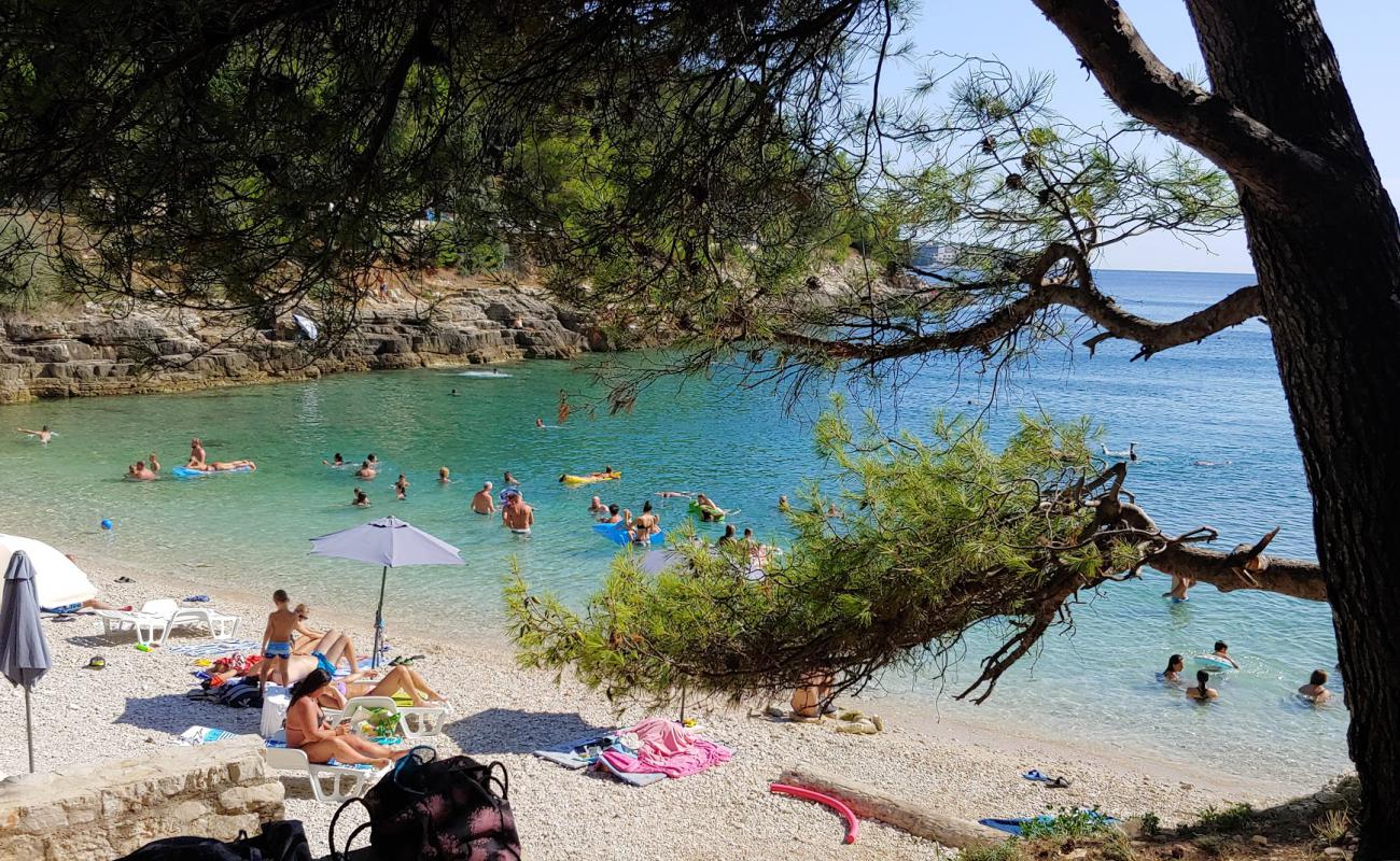 Gortan's Cove'in fotoğrafı hafif çakıl yüzey ile