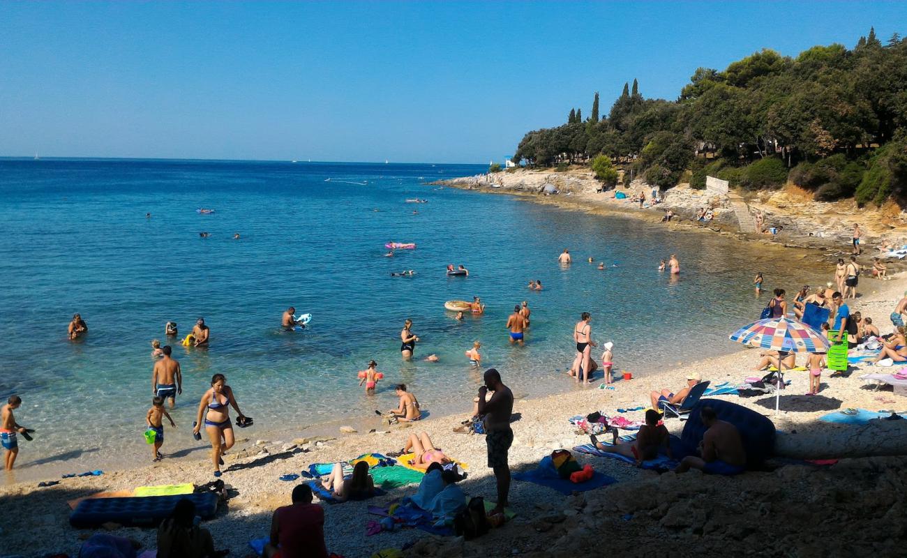 Saccorgiana Cove'in fotoğrafı taşlar yüzey ile