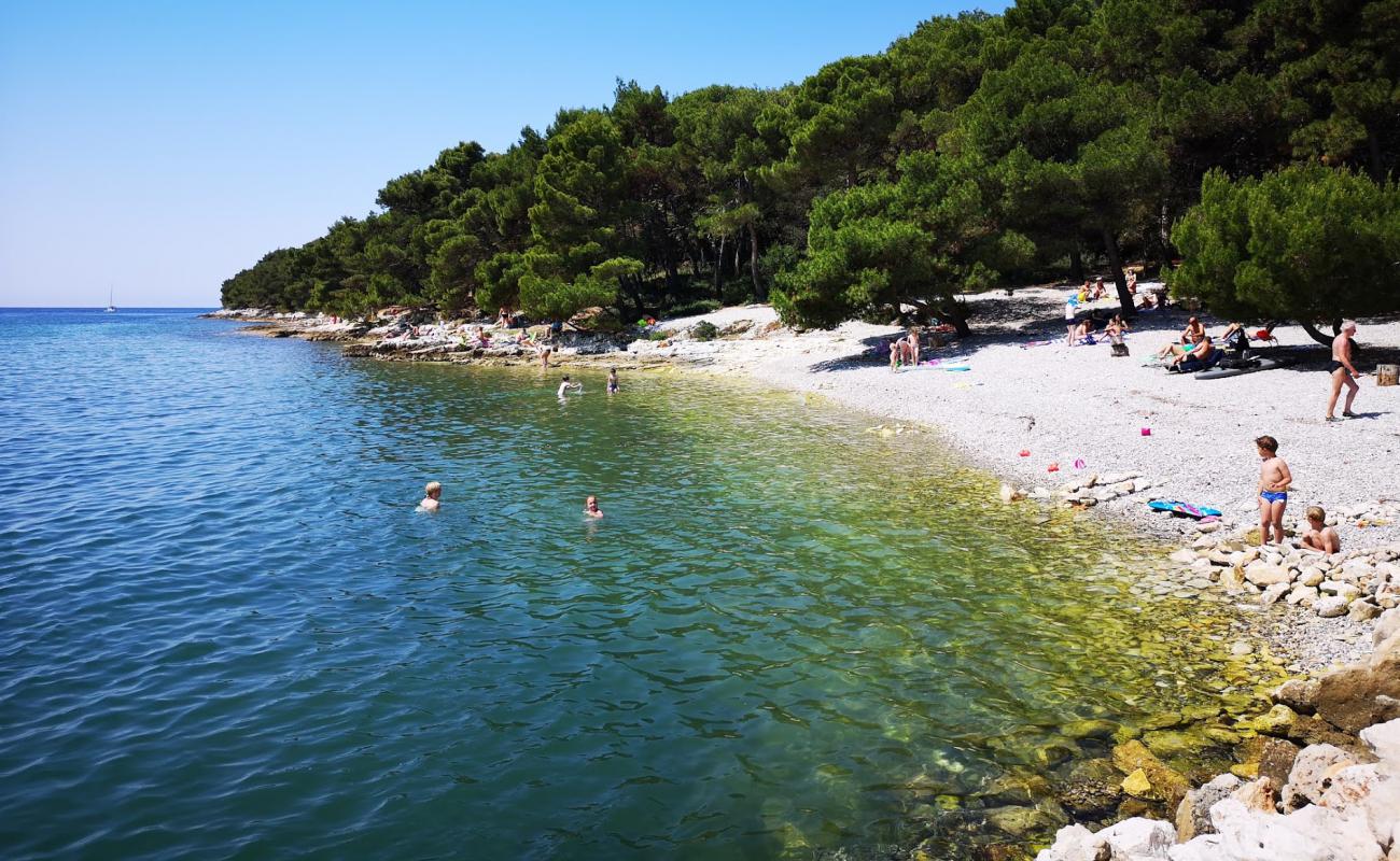 Paltana beach'in fotoğrafı gri çakıl taşı yüzey ile